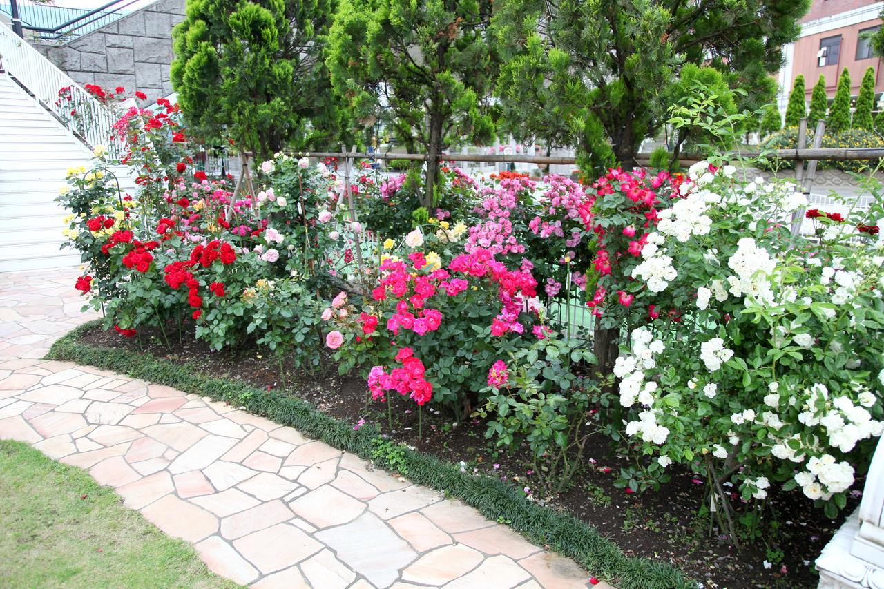Hotel Sunlife Garden Hiratsuka Buitenkant foto